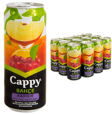 Cappy Meyve Suyu Karışık 250 ml 12'li - 1
