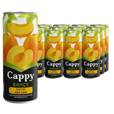 Cappy Meyve Suyu Kayısı Aromalı 250 ml 12'li - 1
