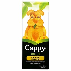 Cappy Kayısı Suyu 200 ml 27`li - 2