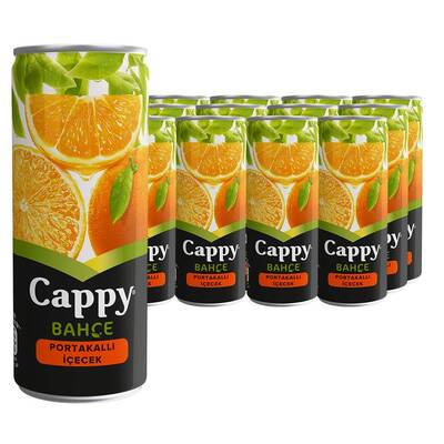 Cappy Meyve Suyu Portakal Aromalı 250 ml 12'li - 1