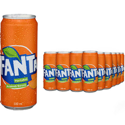 Fanta Kutu 330 ml 24`lü - 1