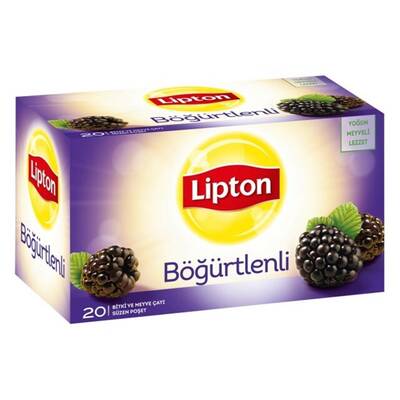 LİPTON FS BÖĞÜRTLEN BARDAK 12x40 GR - 1