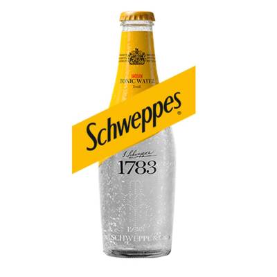 Schweppes Tonik Depozitosuz Cam 250 ml 24`lü - 1